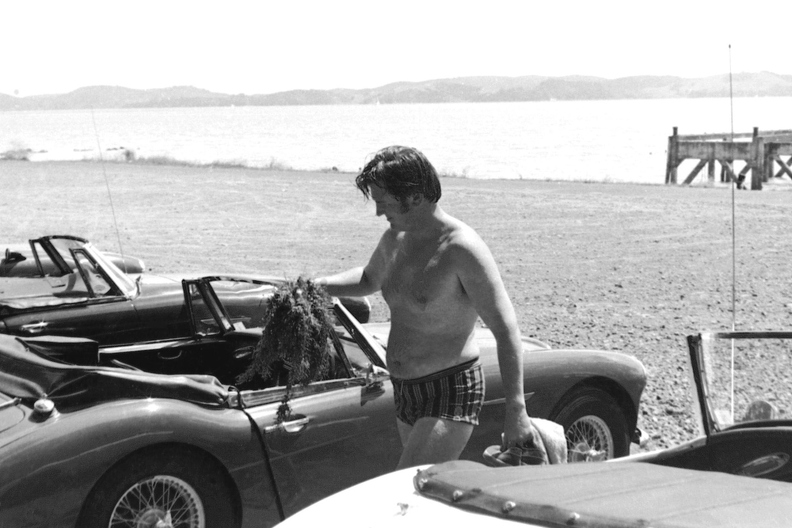 Mark stealing seaweed